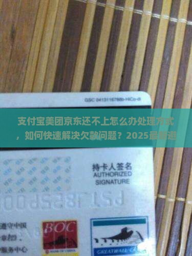 支付宝美团京东还不上怎么办处理方式