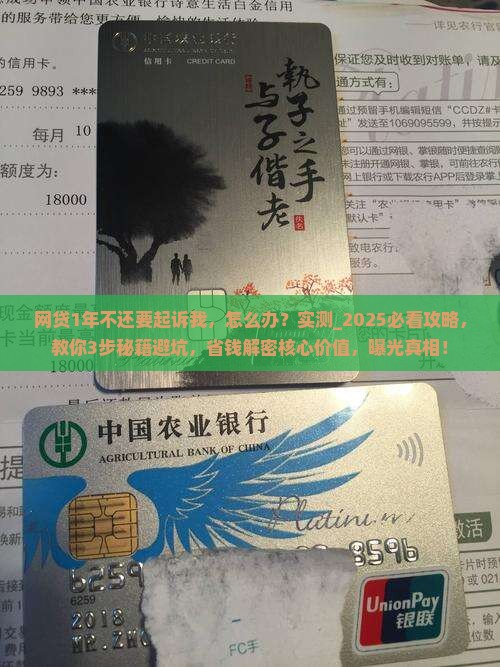 网贷1年不还要起诉我