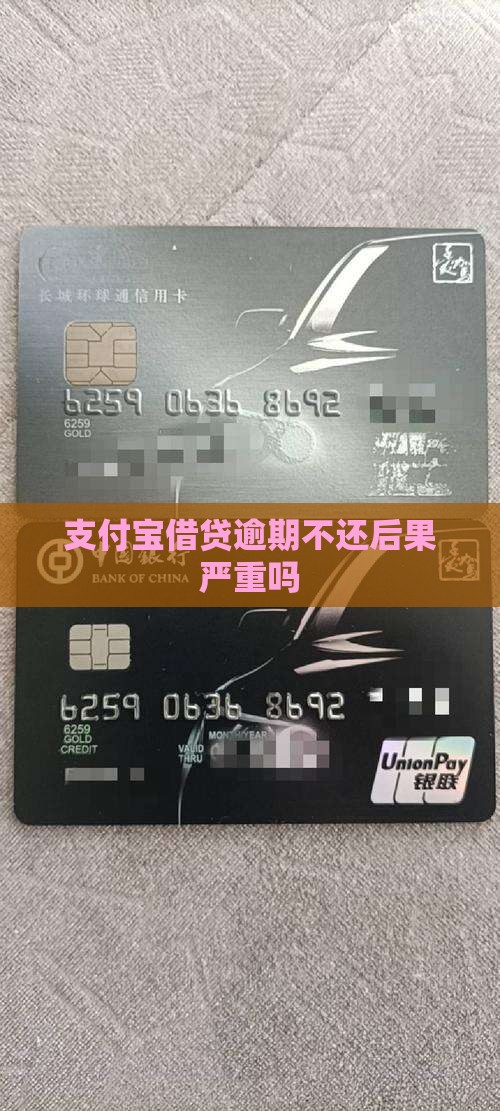 支付宝借贷逾期不还后果严重吗