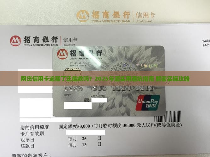 网贷信用卡逾期协商技巧大揭秘