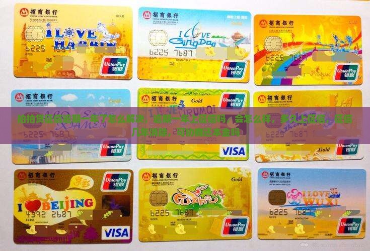拍拍贷征信逾期一年了怎么解决