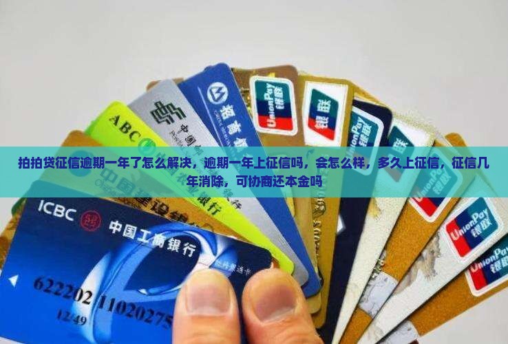 拍拍贷征信逾期一年了怎么解决