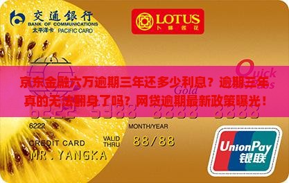 京东金融六万逾期三年还多少利息