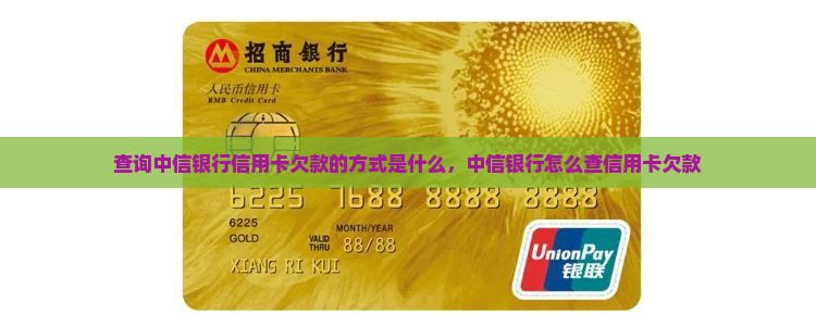 查询中信银行信用卡欠款的方式是什么