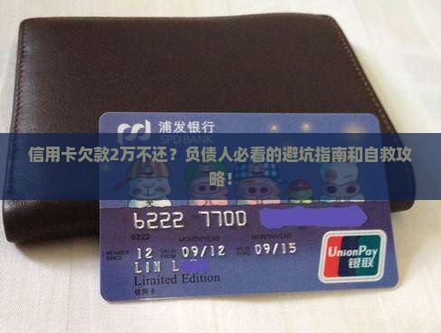 信用卡欠款2万不还怎么办