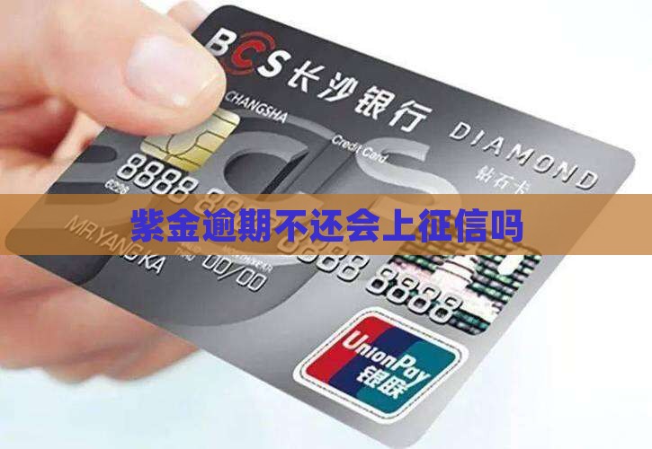 紫金e贷逾期不还会上征信吗