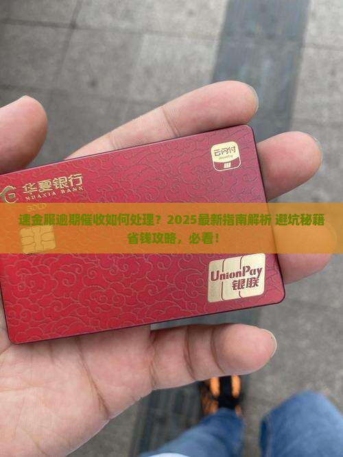 速金服逾期催收如何处理
