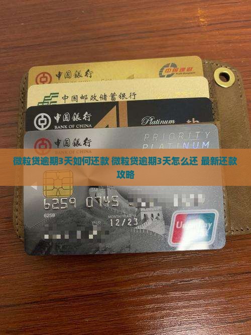 微粒贷逾期3天如何还款