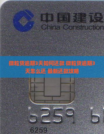 微粒贷逾期3天如何还款