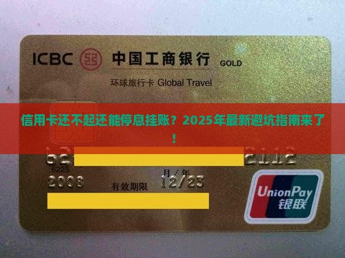 信用卡还不起停息挂账可以吗