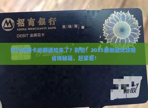 农行信用卡逾期通知如何处理