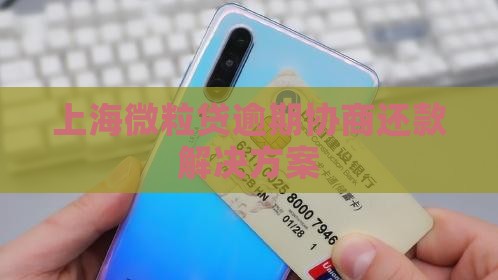 上海微粒贷逾期协商还款