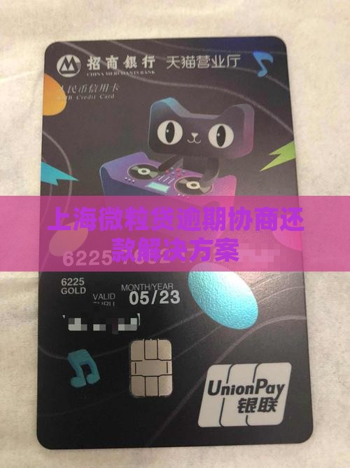 上海微粒贷逾期协商还款