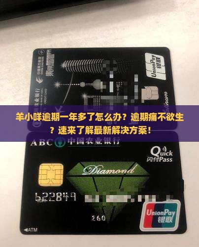 羊小咩逾期一年多了如何处理