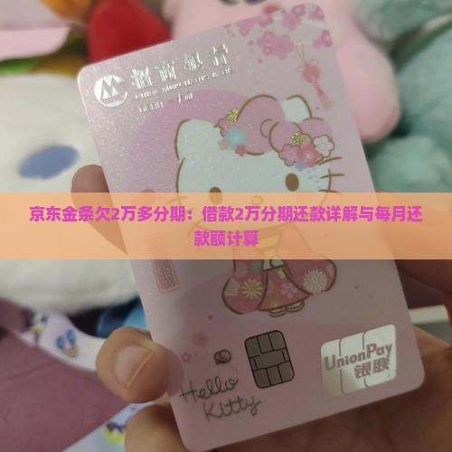 京东金条欠2万多分期：借款2万分期还款详解与每月还款额计算