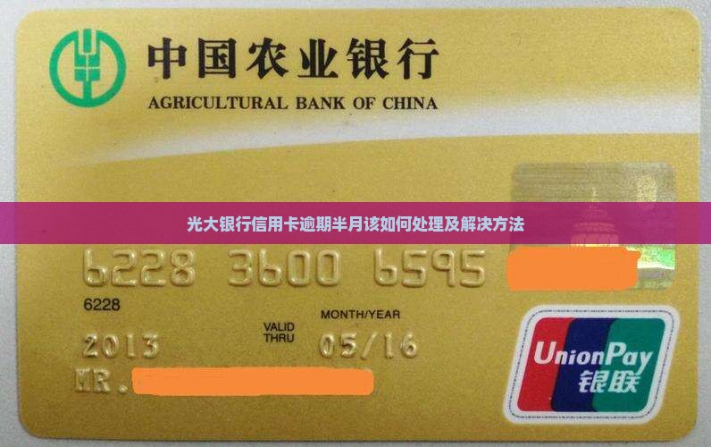 光大银行信用卡逾期半月该如何处理及解决方法