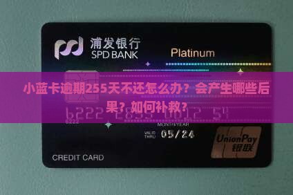 小蓝卡逾期255天不还怎么办？会产生哪些后果？如何补救？