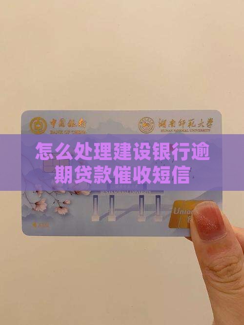 怎么处理建设银行逾期贷款催收短信