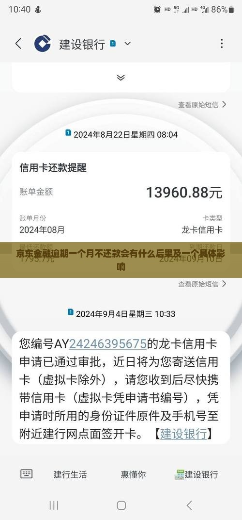京东金融逾期一个月不还款会有什么后果及一个具体影响