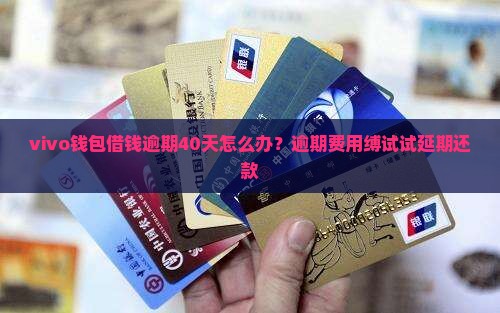 vivo钱包借钱逾期40天怎么办？逾期费用缚试试延期还款
