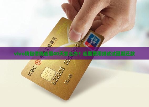 vivo钱包借钱逾期40天怎么办？逾期费用缚试试延期还款