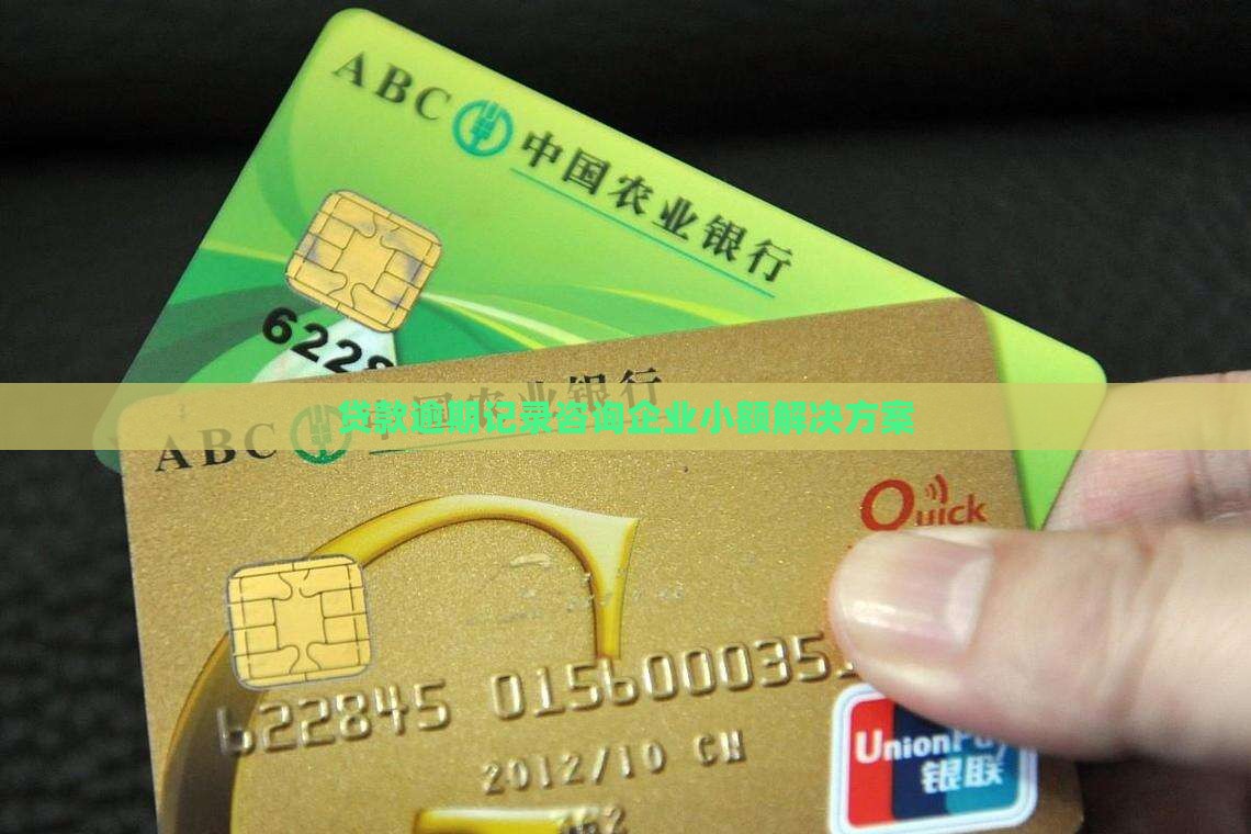 贷款逾期记录咨询企业小额解决方案