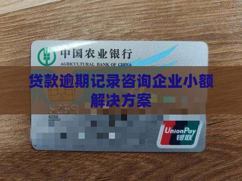 贷款逾期记录咨询企业小额解决方案