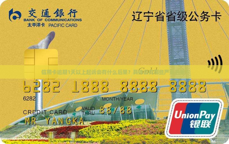 信用卡逾期1天以上起诉会有什么后果？具体会有哪些严重后果？