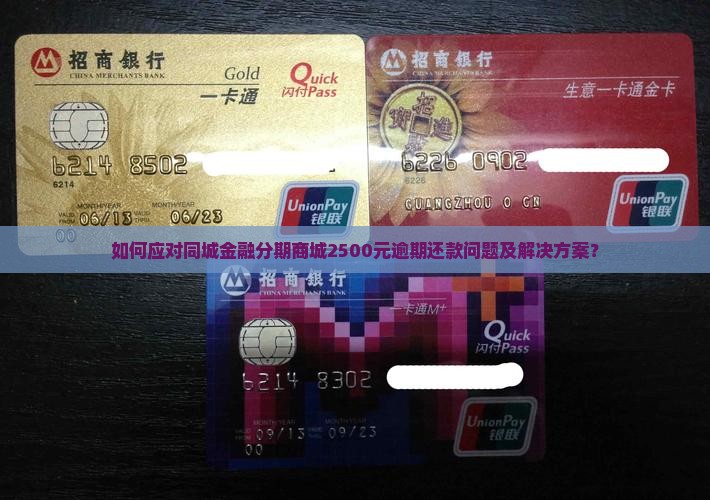 如何应对同城金融分期商城2500元逾期还款问题及解决方案？