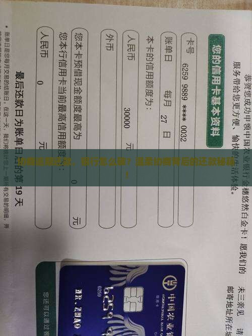 协商逾期还款，银行怎么破？温柔协商背后的还款秘籍！