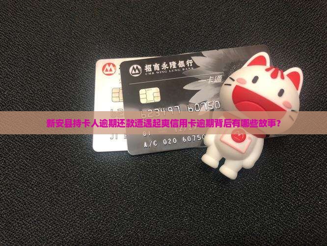 新安县持卡人逾期还款遭遇起爽信用卡逾期背后有哪些故事？