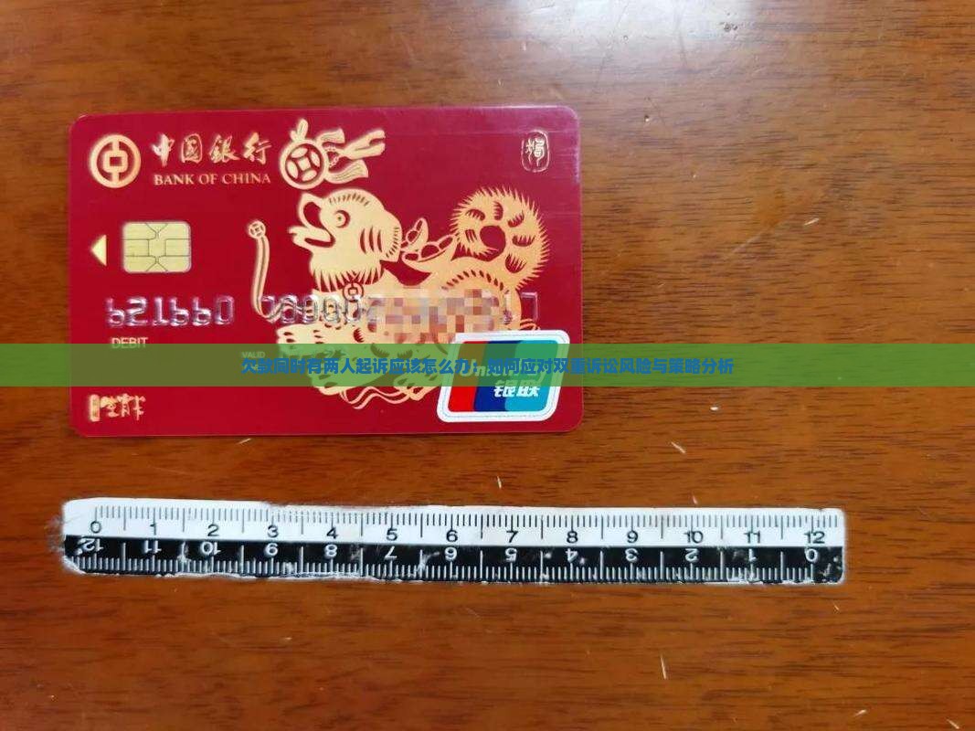 欠款同时有两人起诉应该怎么办：如何应对双重诉讼风险与策略分析