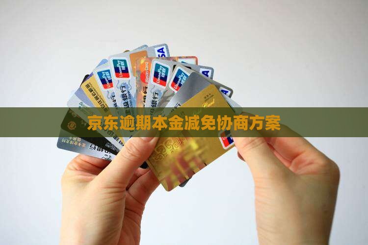京东逾期本金减免协商方案