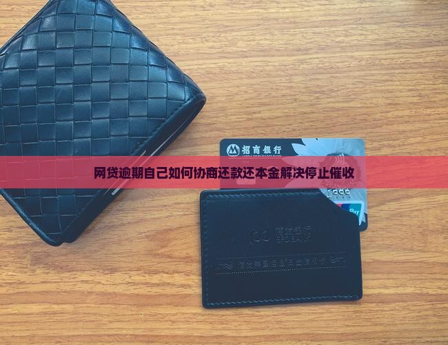 网贷逾期自己如何协商还款还本金解决停止催收