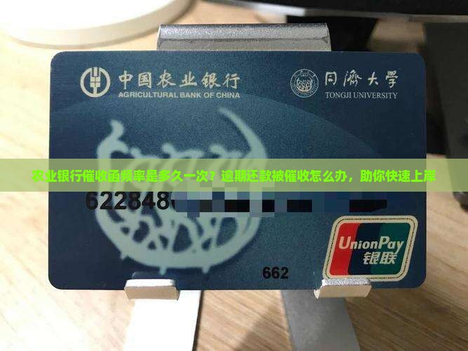 农业银行催收函频率是多久一次？逾期还款被催收怎么办，助你快速上岸