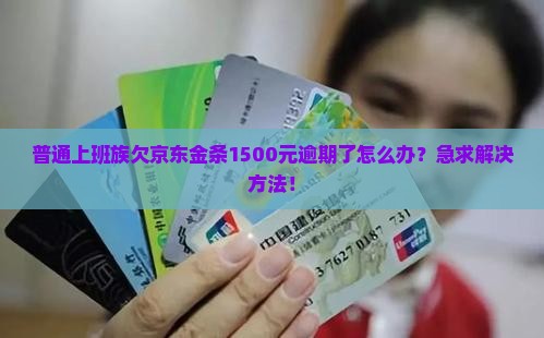 普通上班族欠京东金条1500元逾期了怎么办？急求解决方法！