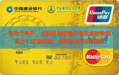 作为个体户，逾期还款招商闪电贷会被收费多少？紧急求助，如何避免高额费用？