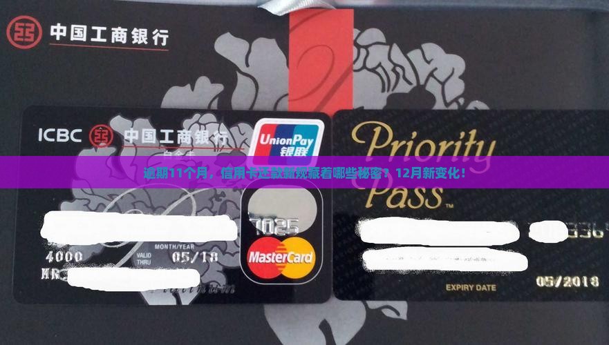 逾期11个月，信用卡还款新规藏着哪些秘密？12月新变化！