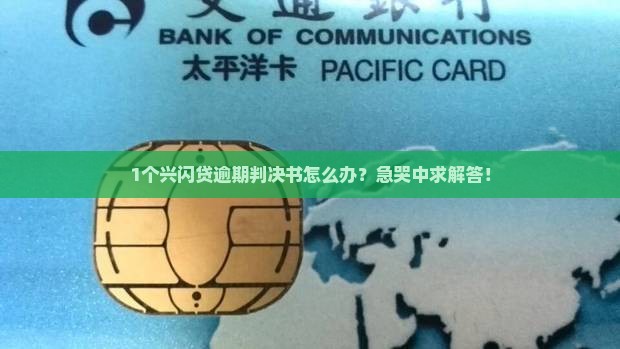 1个兴闪贷逾期判决书怎么办？急哭中求解答！