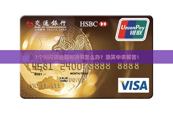 1个兴闪贷逾期判决书怎么办？急哭中求解答！