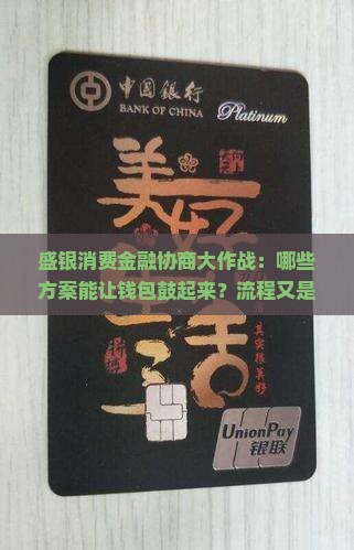 盛银消费金融协商大作战：哪些方案能让钱包鼓起来？流程又是怎样一步步走的？