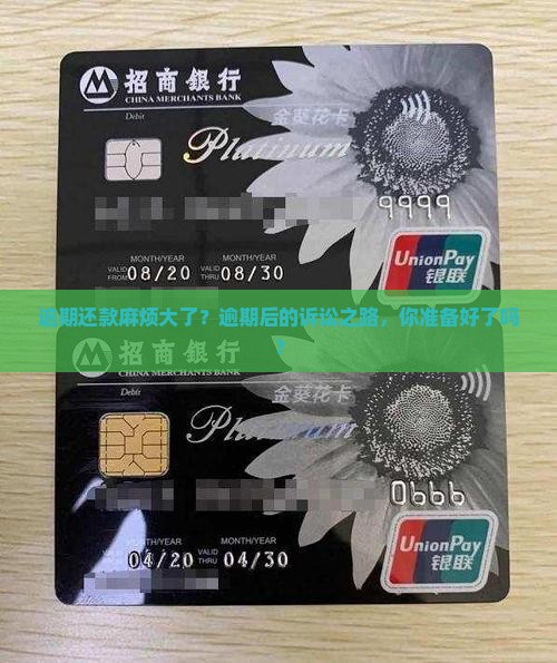 逾期还款麻烦大了？逾期后的诉讼之路，你准备好了吗？
