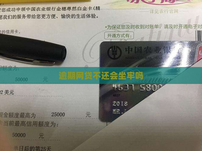 逾期网贷不还会坐牢吗