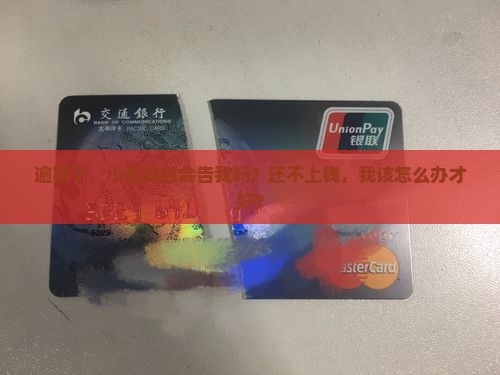 逾期了，小花钱包会告我吗？还不上钱，我该怎么办才好？