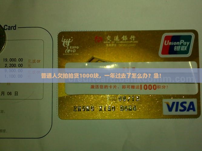 普通人欠拍拍贷1000块，一年过去了怎么办？急！