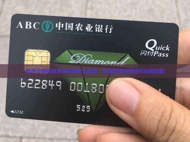 桔子分期与桔多多逾期怎么处理，详细解答如何应对逾期问题