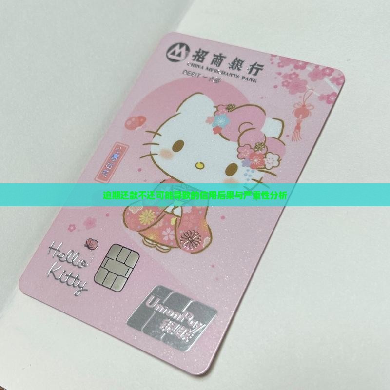 逾期还款不还可能导致的信用后果与严重性分析
