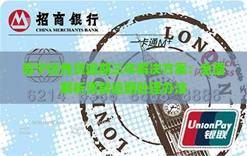苏宁任性贷逾期三年解决方案：全面解析贷款逾期处理办法
