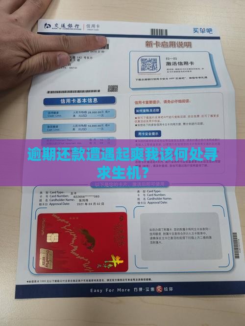 逾期还款遭遇起爽我该何处寻求生机？