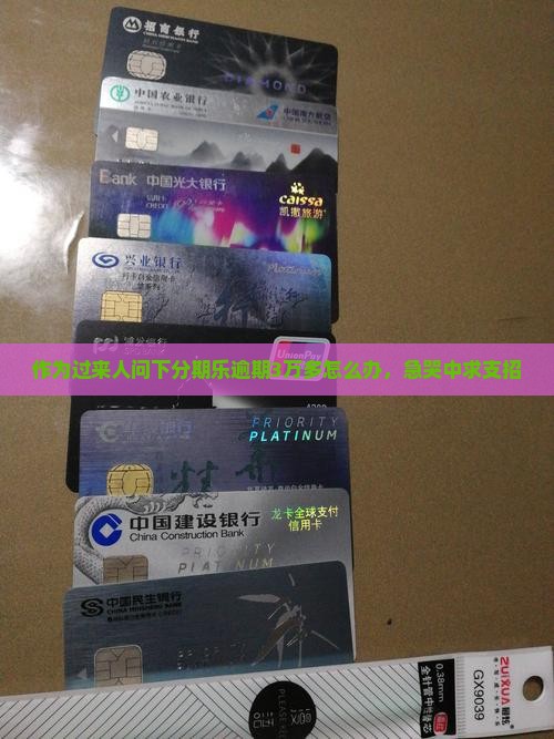 作为过来人问下分期乐逾期3万多怎么办，急哭中求支招